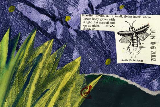 firefly