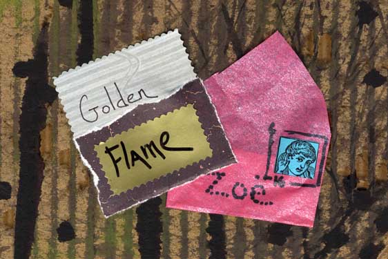 12 16 golden flame